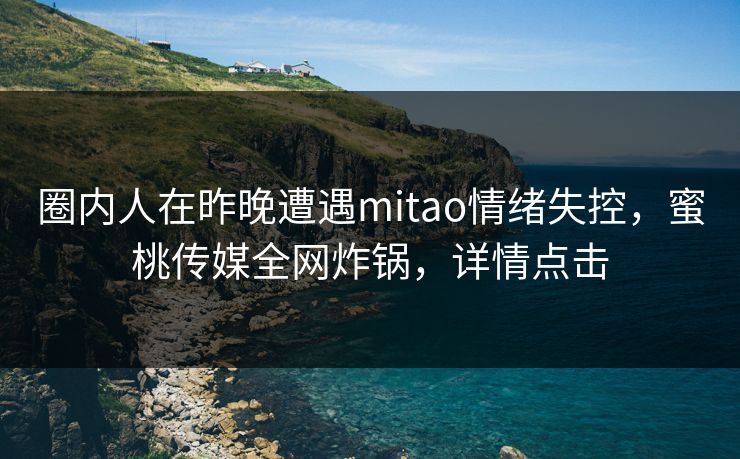 圈内人在昨晚遭遇mitao情绪失控，蜜桃传媒全网炸锅，详情点击